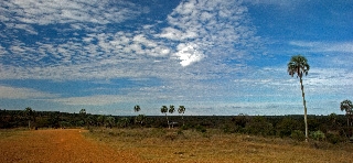 26_05_08_Weg_nach_Iguazu_0006b 26_05_08_Weg_nach_Iguazu_0006b