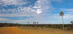 26_05_08_Weg_nach_Iguazu_0006c